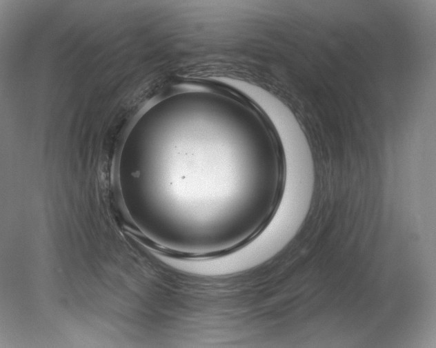 X0000079290561200611171054
