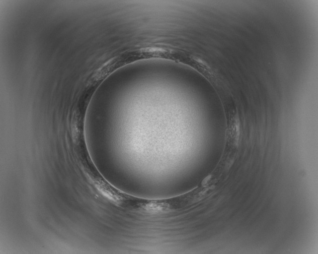 X0000079290566200611171054