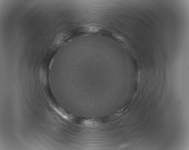 X0000079290568200611171054