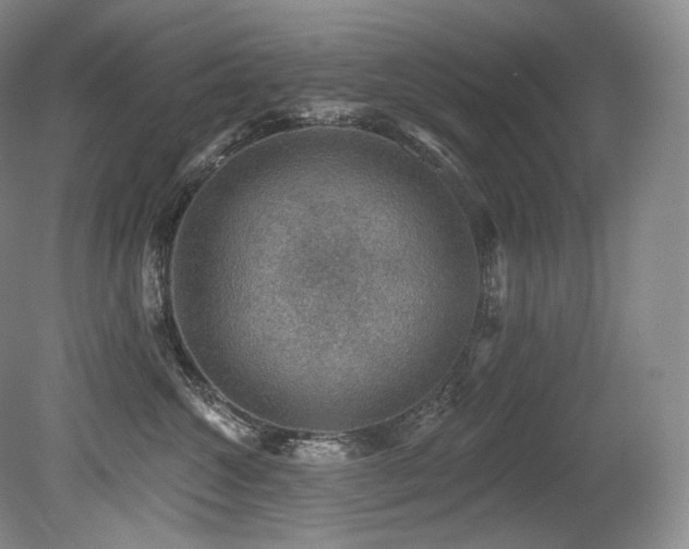 X0000079290572200611171054