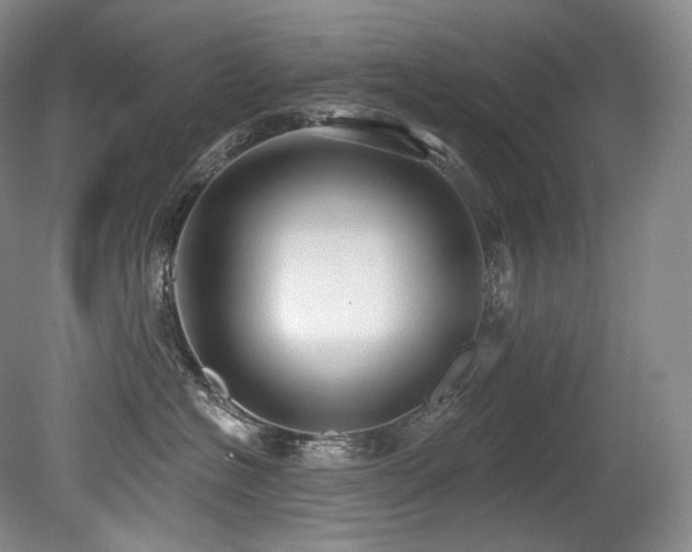 X0000079290574200611171054