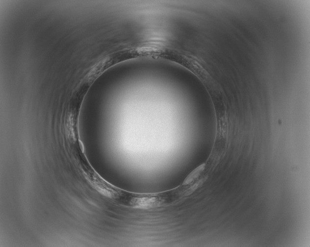 X0000079290575200611171054