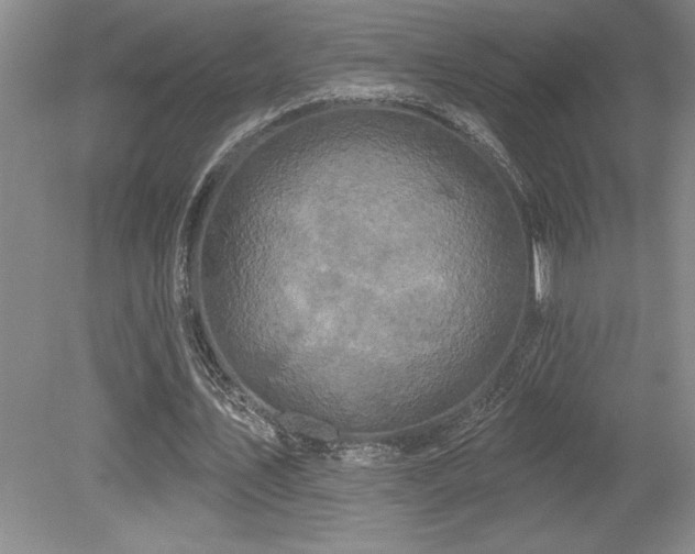 X0000079290579200611171053