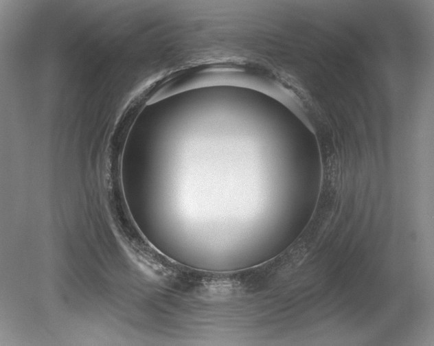 X0000079290587200611171053