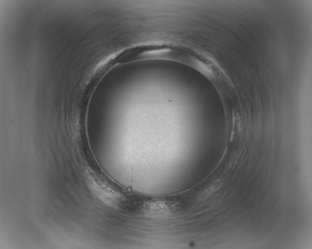 X0000079290588200611171053