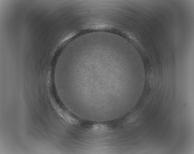 X0000079290591200611171053