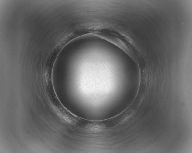 X0000079290597200611171053
