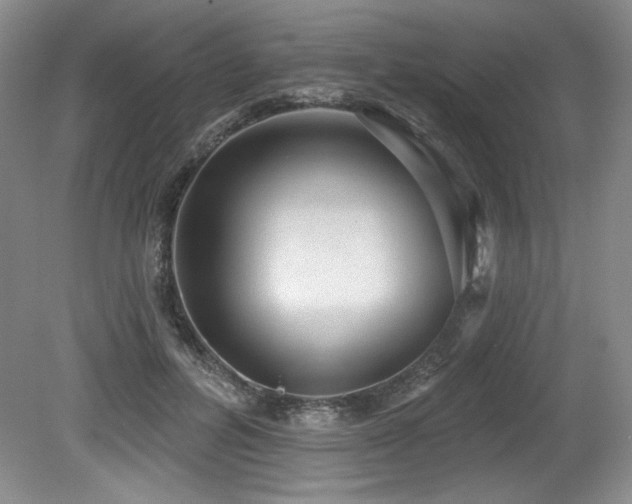 X0000079290600200611171053