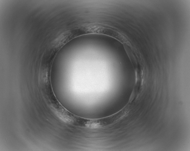 X0000079290602200611171053