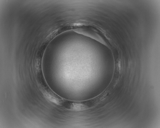 X0000079290605200611171053