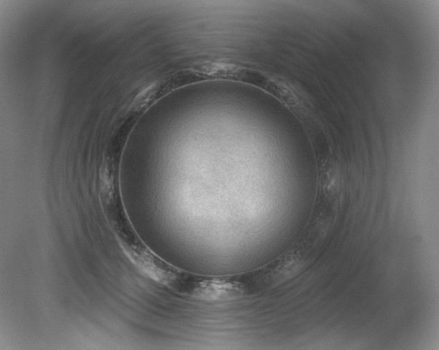 X0000079290607200611171053
