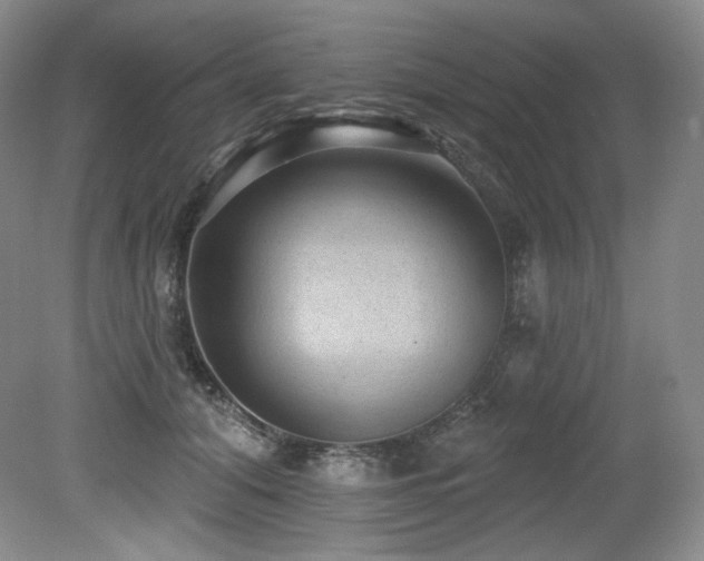 X0000079290608200611171053