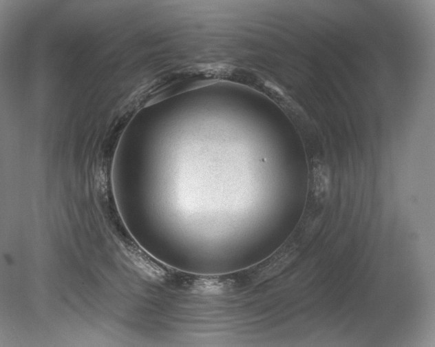 X0000079290613200611171053