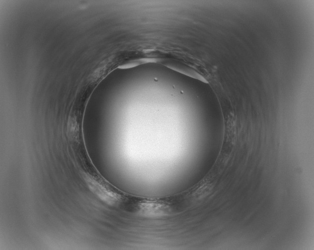 X0000079290614200611171053