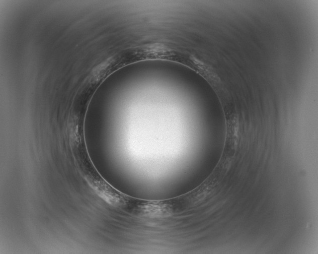 X0000079290615200611171053