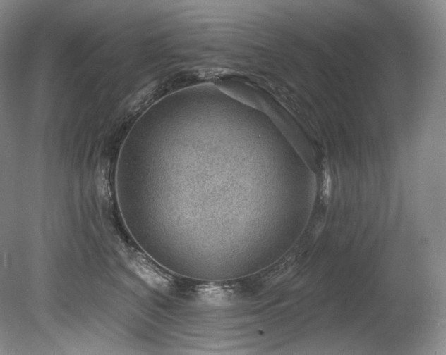 X0000079290616200611171053