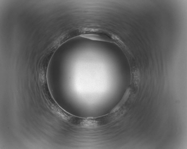 X0000079290617200611171053
