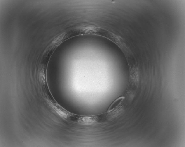 X0000079290622200611171053