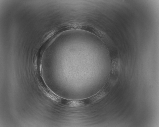 X0000079290623200611171053