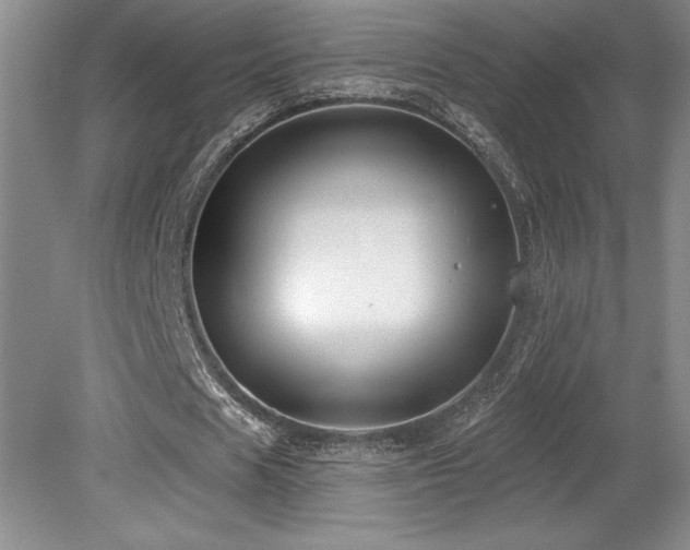 X0000079290625200611171052