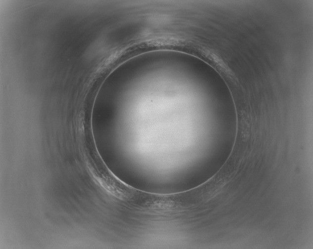 X0000079290631200611171052