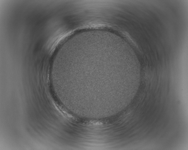 X0000079290640200611171052
