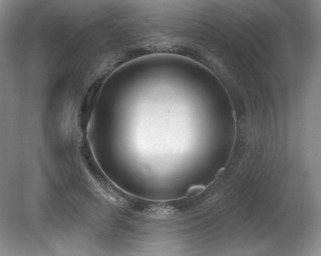 X0000079290642200611171052