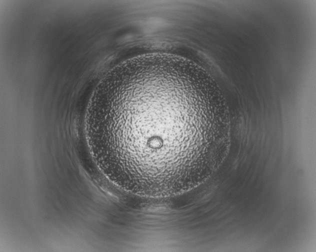 X0000079290643200611171052