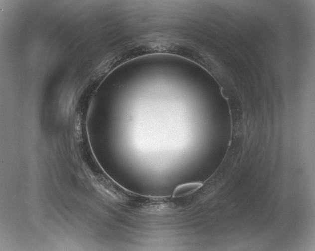 X0000079290646200611171052
