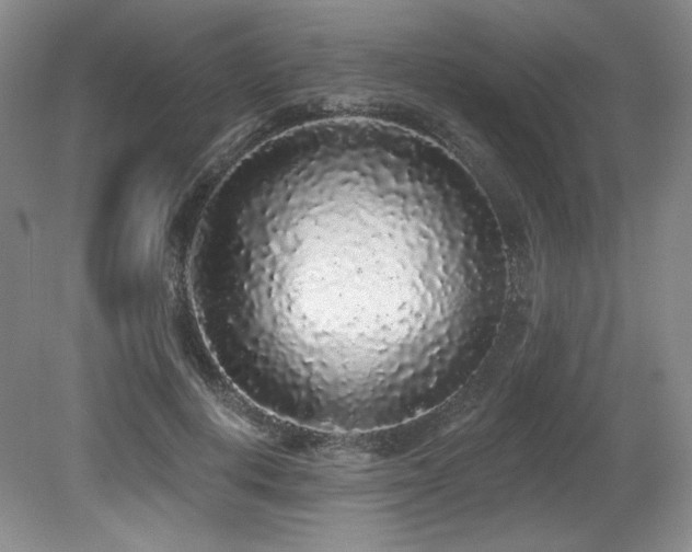 X0000079290648200611171052