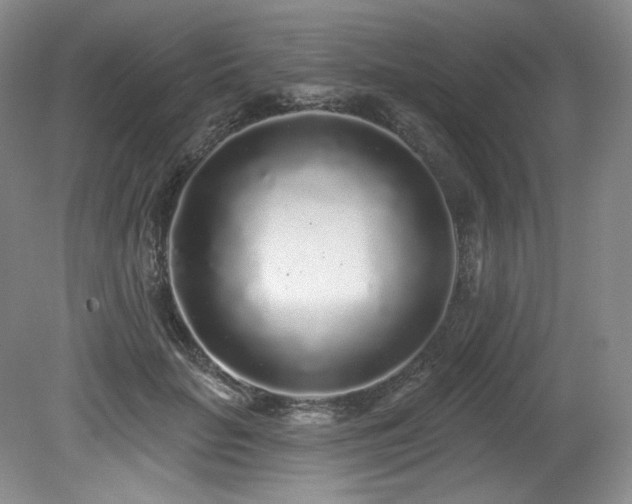 X0000079290653200611171052
