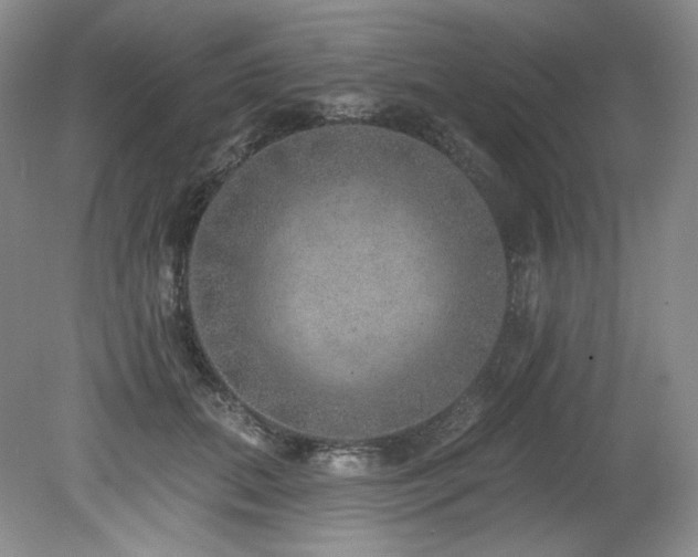 X0000079290655200611171052