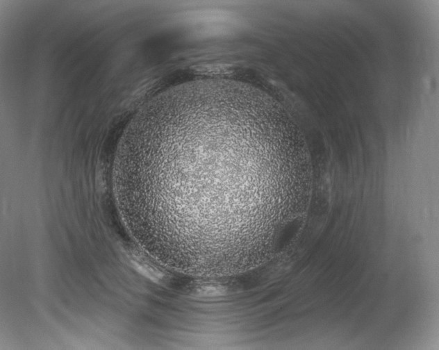 X0000079290658200611171052