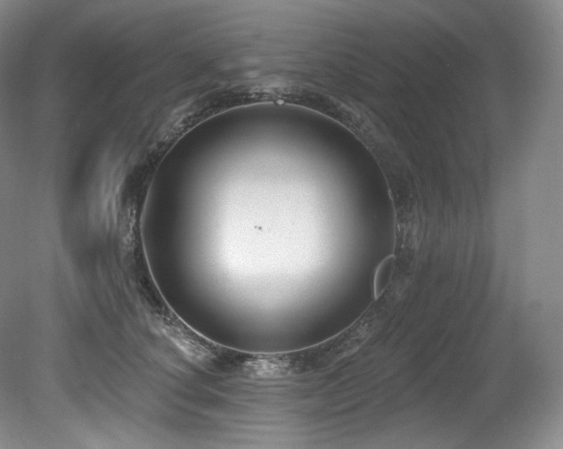 X0000079290660200611171052