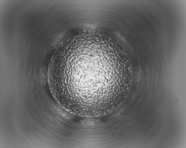 X0000079290661200611171052