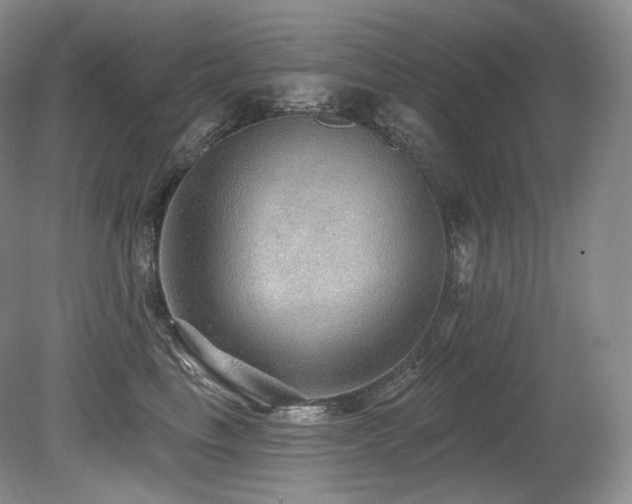 X0000079290665200611171053