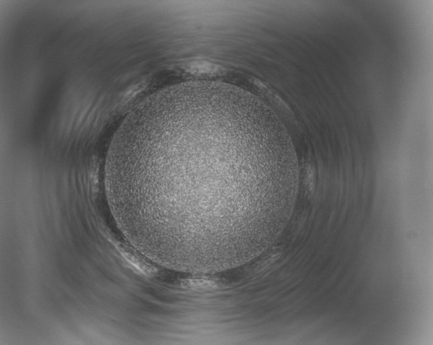 X0000079290668200611171053