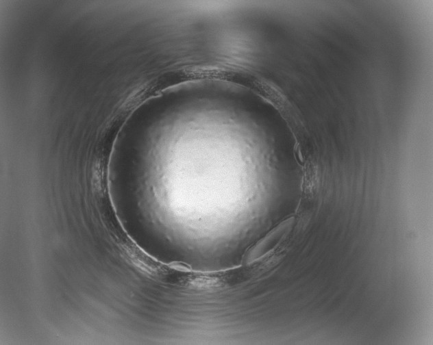 X0000079290669200611171053
