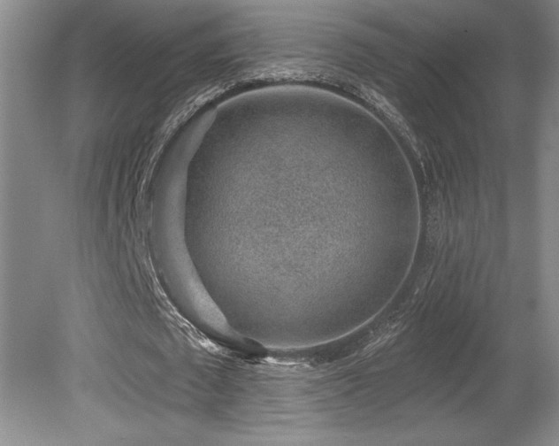 X0000079290673200611171052