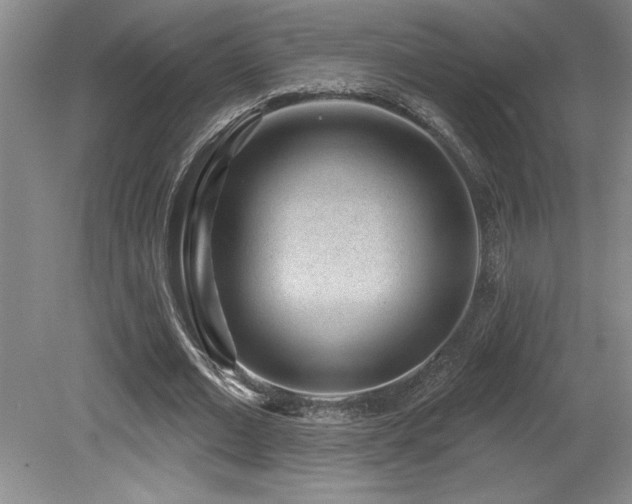 X0000079290677200611171052