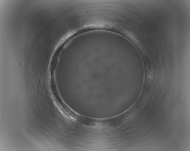X0000079290678200611171052