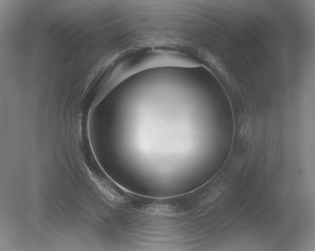 X0000079290685200611171052