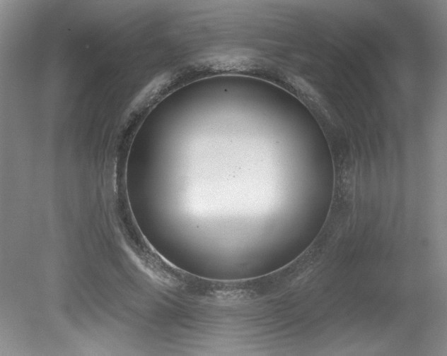 X0000079290686200611171052