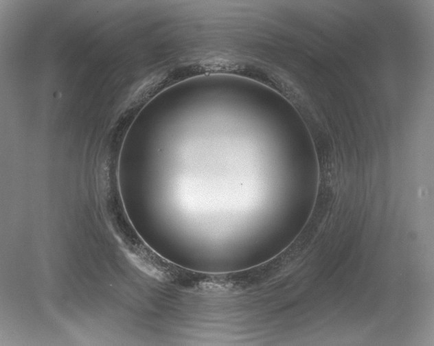 X0000079290690200611171052