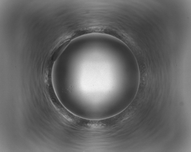 X0000079290693200611171052