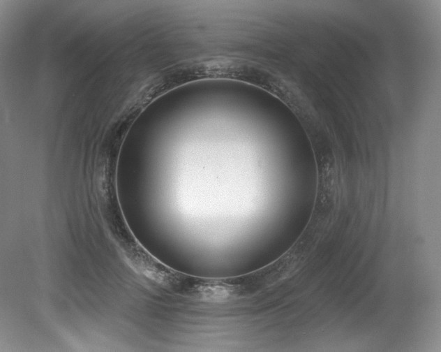 X0000079290698200611171051