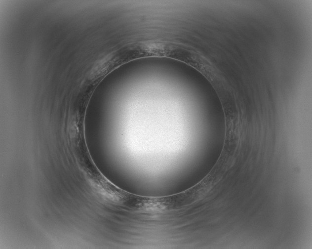 X0000079290702200611171051