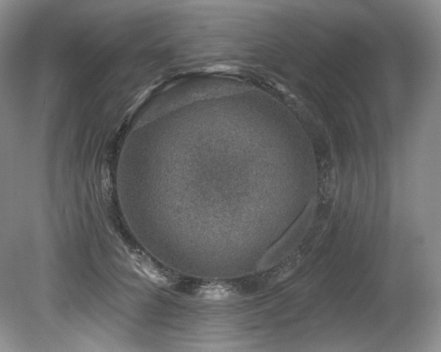 X0000079290704200611171051