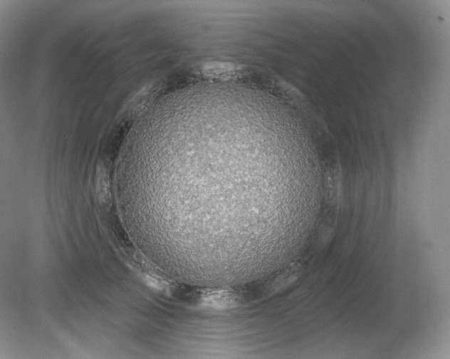 X0000079290705200611171051
