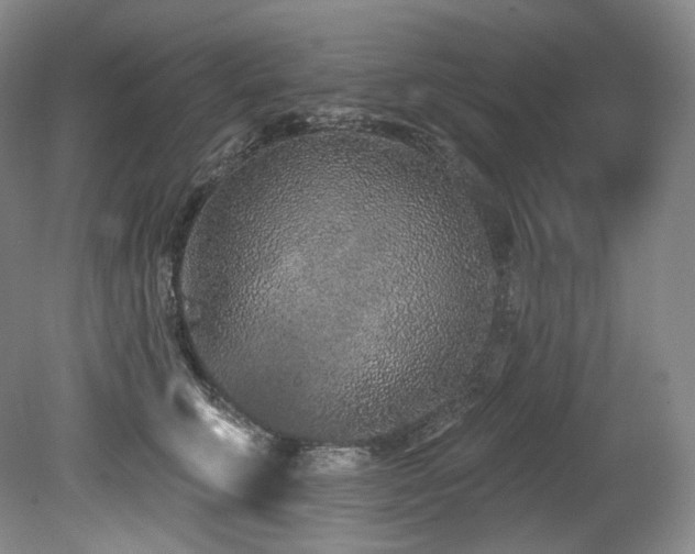 X0000079290711200611171051